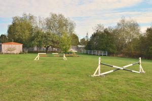 Paddock- click for photo gallery